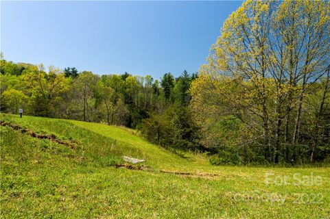 523 Wilma Dykeman Trail 82