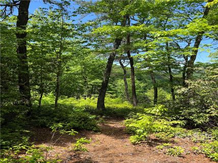 Lot 30 Fawn Hill Drive sold home in The Retreat at Cedar Creek, Lake Lure, NC