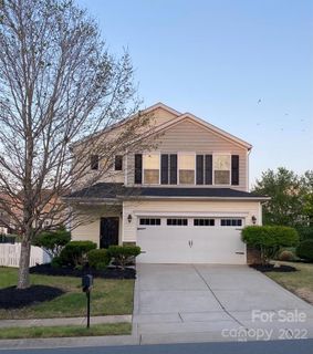 12014 Downy Birch Road 436