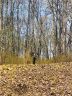 Lot 83r Firesong Lane sold home in Glenville, SC