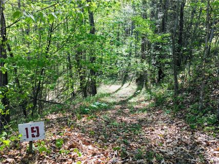 19 Trillium Lane sold home in Trillium, Mars Hill, NC