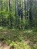 000 North Pointe Drive LOT #6 sold home in Zirconia, SC
