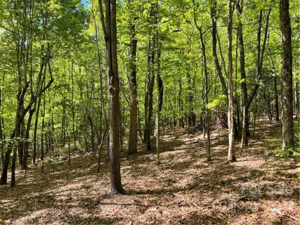 Lot J 103 Mulberry Circle J-103 sold home in Sequoyah Woods, Brevard, NC