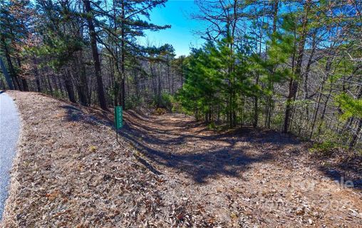 3953 Skyline Drive
