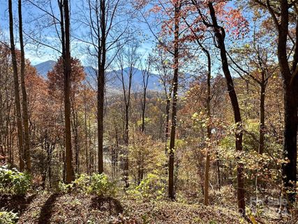 Homes in Scarlet Oaks, Maggie Valley