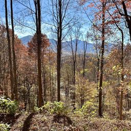 11 Trout Lily Lane