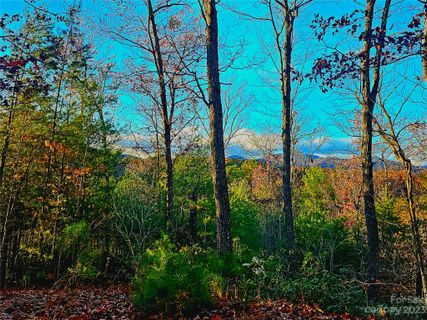 Lot 31 Peaks Drive