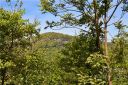 22 Chesten Mountain Drive 1 sold home in Asheville, SC