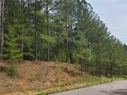 0 Sunset Drive 13 sold home in Hillcrest, Mill Spring, NC
