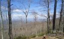 132 Whitetail Trail sold home in Rosman, SC