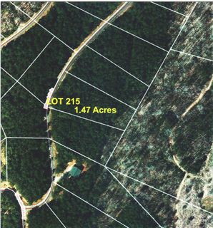 Lot 215 Bitteroot Circle