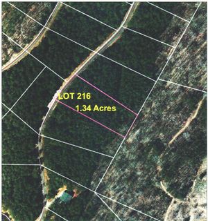 Lot 216 Bitteroot Circle