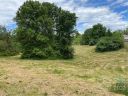 33 Crecy Place sold home in Hendersonville, SC