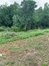 1250 39th Street Circle sold home in Hickory, SC