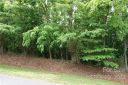 105 Tahawus Drive sold home in Bostic, SC