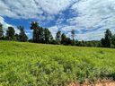 163 Four Andrews Drive sold home in Harmony, SC