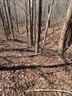 73 Mountain Lookout Drive sold home in Bostic, SC