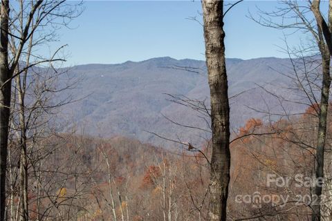 Lot 70 Old Growth Way