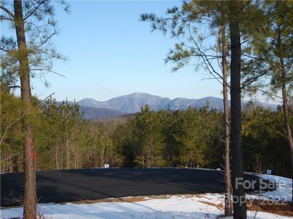 0 Ashley Court 4 sold home in Hillcrest, Mill Spring, NC