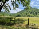 107 Twisted Birch Drive 21 sold home in Hendersonville, SC