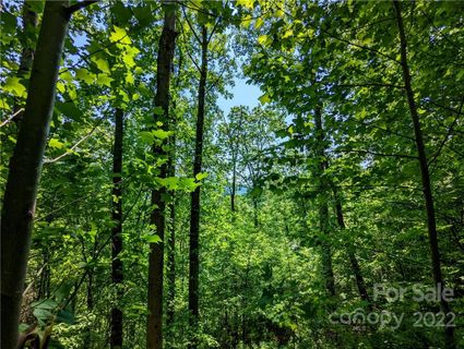 5 Deer Creek Trail