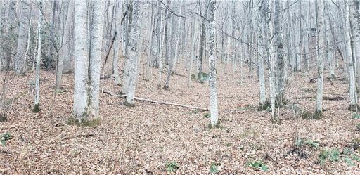 00 The High Road sold home in Walker-In-The-Hills, Waynesville, NC