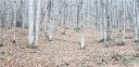 00 The High Road sold home in Waynesville, SC