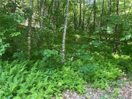 0000 Trillium Lane 16