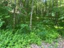 0000 Trillium Lane 16 sold home in Rosman, SC
