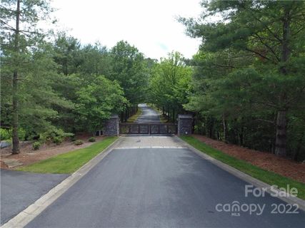 1167 Mills River Way 72