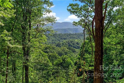Lot 913 Mulberry Road