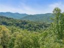 60 99999 High Bluff Drive sold home in Weaverville, SC