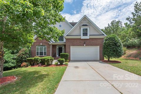432 Meadowside Drive sold home in Lynnwood Farms, Fort Mill, SC
