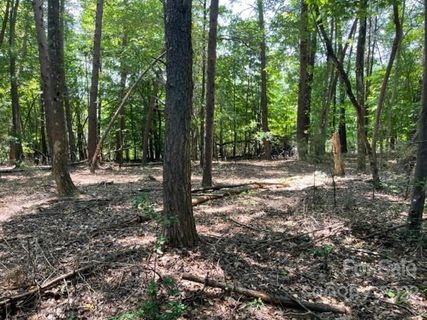 1029 Glade Spring Court 184