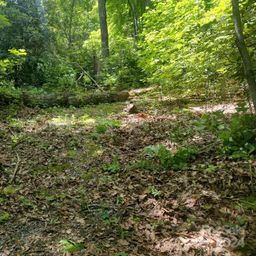 314 Burnside Trail