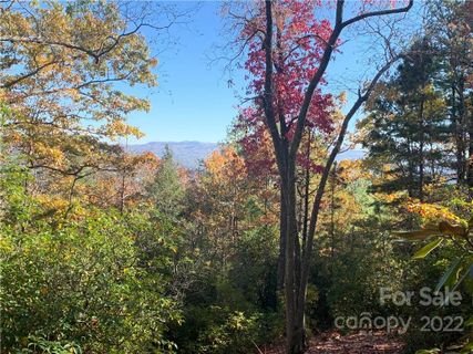 M25 Elk Mountain Trail