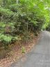 Tbd South Carolina Terrace sold home in Montreat, SC