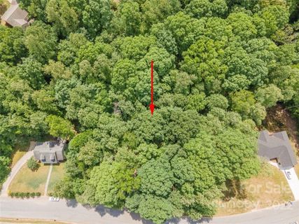 163 Shenandoah Loop 91