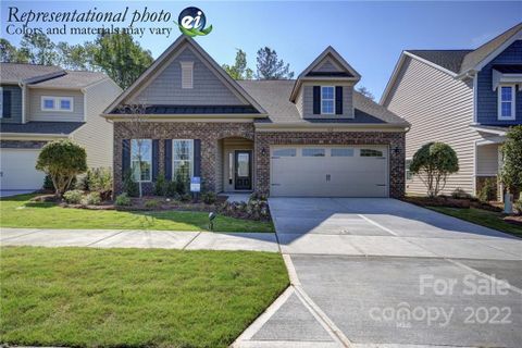 13200 Cinnamon Fern Lane 60