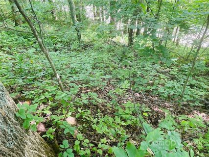 0 Granny Shepherd Road Section 2/Lot 15 sold home in Laurel Highlands, Mars Hill, NC