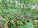 0 Granny Shepherd Road Section 2/Lot 15 sold home in Mars Hill, SC