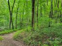 Lot 42 Autumn Sky Drive sold home in Hendersonville, SC