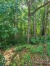 12534 Preservation Pointe Drive sold home in Charlotte, SC