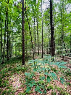00 Twin Creek Drive 61 sold home in Twin Creek Estates, Troutman, NC
