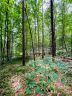 00 Twin Creek Drive 61 sold home in Troutman, SC