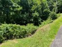 31 Holly Ridge Road sold home in Candler, SC