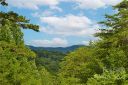 127 Saddle Ridge Drive sold home in Alexander, SC