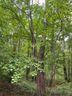 0 Woodlawn Lane Lot 8 Blk Q Sec 2 sold home in Indian Trail, SC