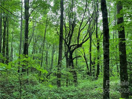 0 Woodys Drive 4 sold home in Woodys Mountain Estates, Hendersonville, NC