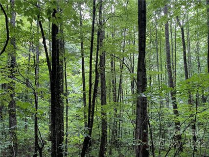 0 Woodys Drive 5 sold home in Woodys Mountain Estates, Hendersonville, NC